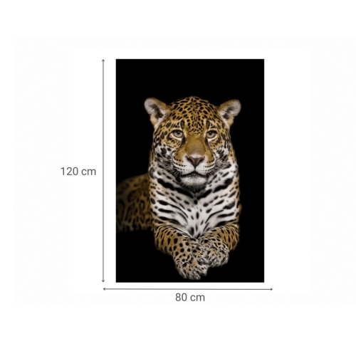 Cuadro de Cristal Impreso Leopardo en Negro 81-485